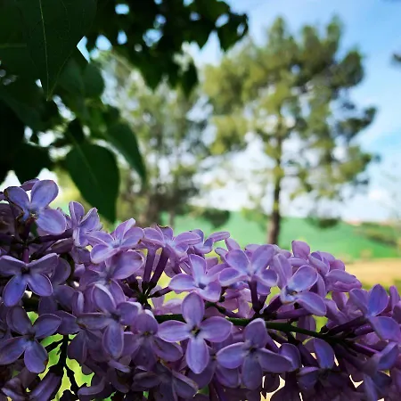 Naturaverde