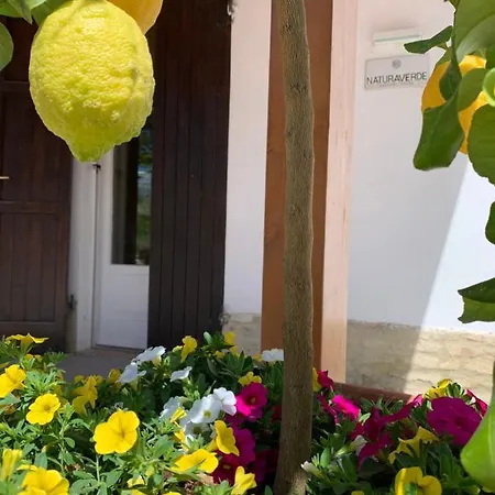 Alloggio per agriturismo Naturaverde Senigallia