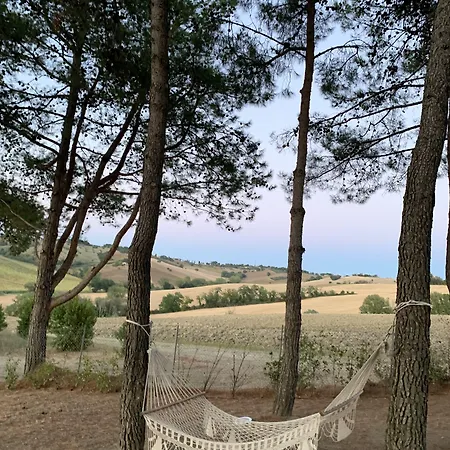 Naturaverde Bed & Breakfast Senigallia